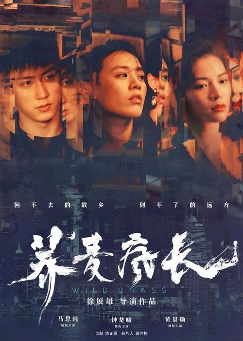 大学本科生都有学士学位证吗